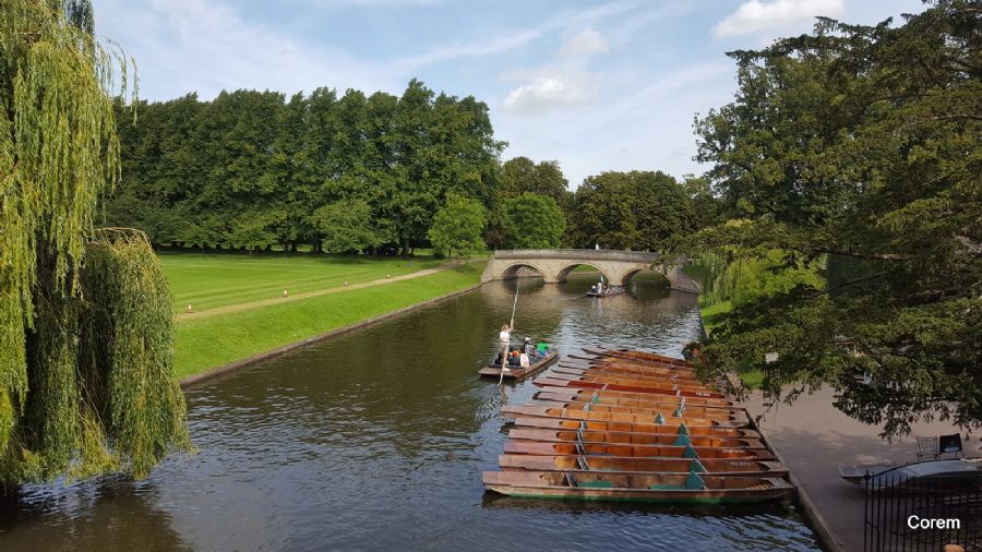 Punting on the Cam
